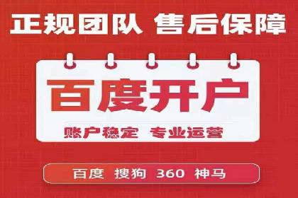 知名SEM运营公司实战案例解析